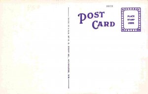 Indian Village St Ignace Michigan linen postcard