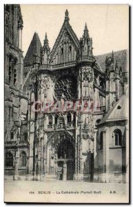 Senlis Old Postcard The cathedral (south gate)