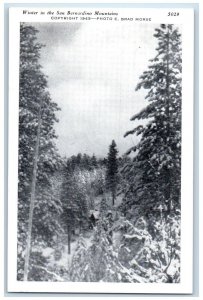 Winter In The San Bernardino Mountains California CA Unposted Vintage Postcard