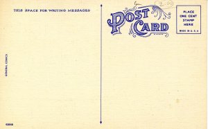 Humor - First Night in the Country