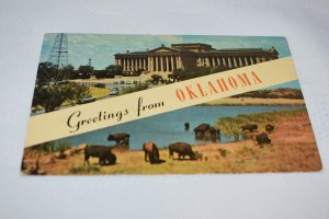 Oklahoma State Capitol and Buffalo at Quanah Parker Lake Postcard Baxter Lane