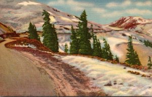 Colorado Rocky Mountains Timberline On Loveland Pass Curteich