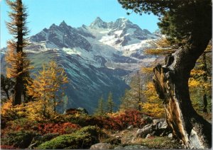 Postcard Switzerland - Obergabelhorn and Wellenkuppe