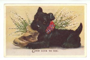 Greeting - Good Luck. Pup Chewing Boot