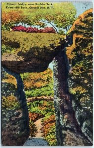 Postcard - Natural Bridge, Kaaterskill Park, Catskill Mts. - New York