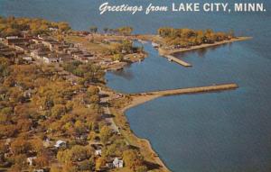 Minnesota Greetings From Lake City Aerial View