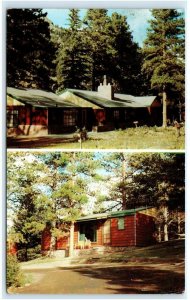 ESTES PARK, CO~ Roadside CASTLE MOUNTAIN LODGE c1950s Larimer County Postcard