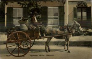 Black Man Vegetable Dealer Bermuda c1905 Used Postcard EXC COND