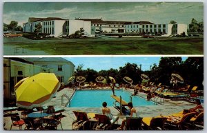 Vtg Lexington Kentucky KY Campbell House Hotel & Pool View 1950s Card Postcard