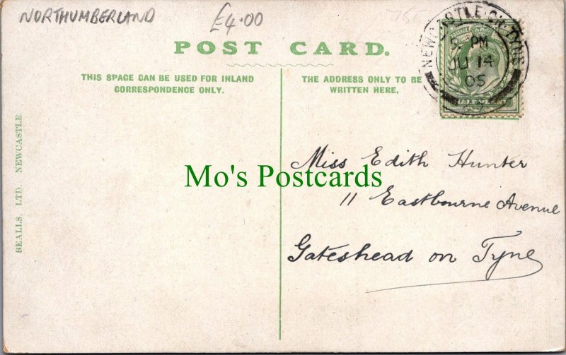 Northumberland Postcard - The Lake, Elswick Park, Newcastle SW8673