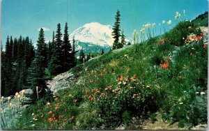 Mt Rainier Dewey Lake Trail Washington WA Postcard VTG UNP Plastichrome Vintage