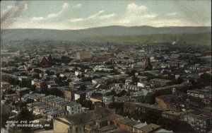 Harrisburg Pennsylvania PA Bird's Eye View c1910 Vintage Postcard