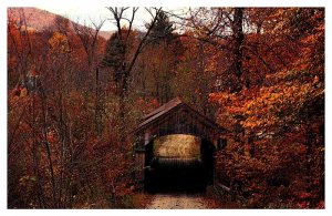 Postcard BRIDGE SCENE Townshend Vermont VT AS0454