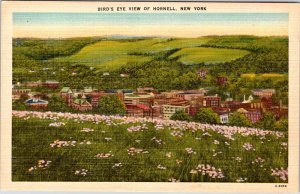 Postcard HOUSE SCENE Hornell New York NY AN8633