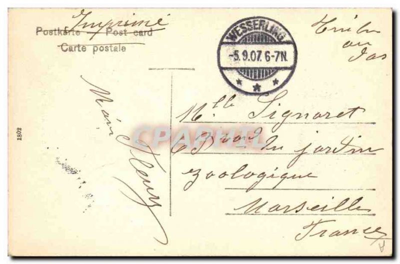 Old Postcard Alsatian Alsace Folklore