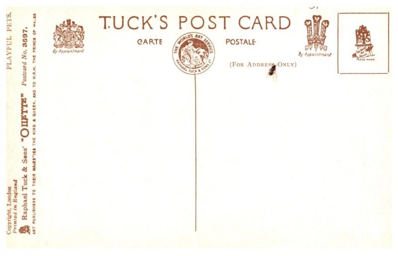 Dog ,  Jock , Jack , Paddy