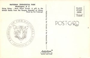 Male Giant Panda, National Zological Park Washington Park, Milwaukee, WI, USA...