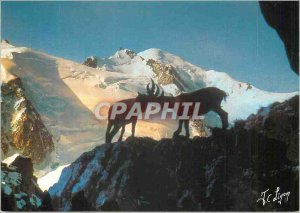 Postcard Images of Modern Combat home on Peaks