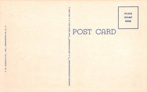 Bird's Eye View Brant Lake, New York Postcard