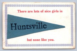 J89/ Huntsville Ohio Felt Pennant Postcard c1910 Lots of Nice Girls 268