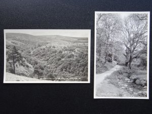 Somerset Exmoor 2 x HORNER VALLEY & DUNKERY c1950s RP Postcard by H.H. Hole