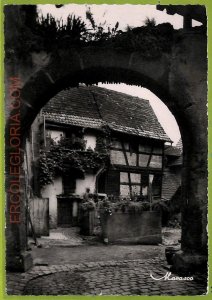 af3493 - JUDAICA vintage postcard: FRANCE - Riquewihr-