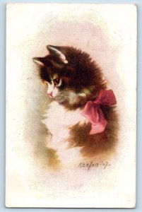 Kenyon Artist Signed Postcard Cute Cat Kitten Haired With Bow Animal Canada