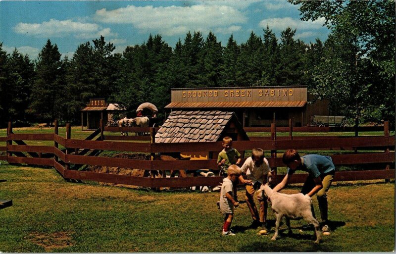 Wilderness Walk Hayward Wisconsin Hwy 27 Crooked Creek Casino Vintage Postcard 