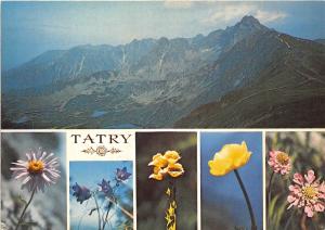 B44816 Tatry multiviews flowers  poland