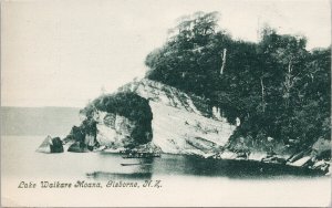 Lake Waikare Moana Gisborne NZ New Zealand c1906 Postcard G78