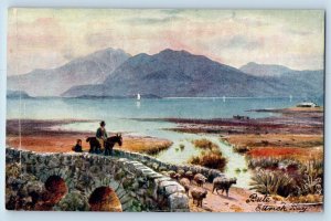 Bute Scotland Postcard Bute Ettrick Bay Bridge Horse c1910 Oilette Tuck Art