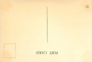 Montreal Canada Observation Car on the Tramway White Border Postcard