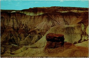 Pedestal Log Blue Mesa Petrified Forest National Monument Arizona Postcard