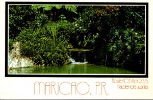 Puerto Rico Maricao Hacienda Juanita