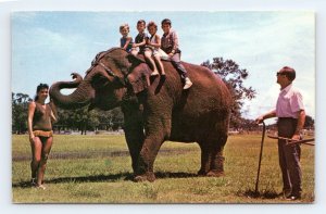 Children Riding Elephant Alabama Mountain Lakes AL UNP Chrome Postcard P1