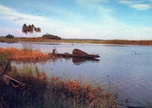 VINTAGE CONTINENTAL POSTCARD A GOGODALA WOMAN A DAY'S FISHING PAPUA NEW GUINEA