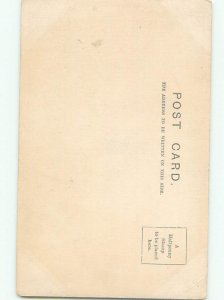 Divided-Back CHILDREN SCENE Great Postcard AA6502