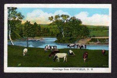 NEW HAMPSHIRE PITTSFIELD NH Greetings From Postcard Cow