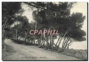 Postcard Old Cap Martin Sous Bois