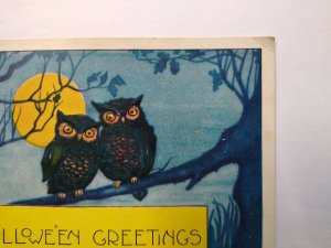 Halloween Postcard Whitney 2 Owls Vintage Original Blue Background Greetings