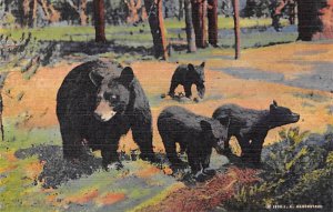 Mother and three cubs Bear Unused 