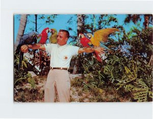 Postcard Rich Naegeli, with some of his Macaws, Busch Gardens, Tampa, Florida