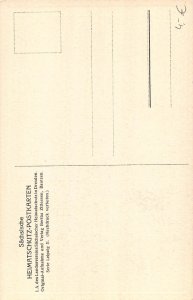 A626 Germany Leipzig Gohliser Schloeschen vintage postcard