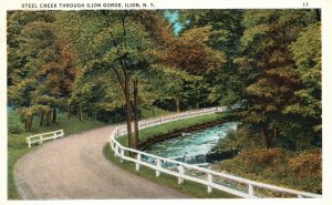 Vintage Postcard 1920's Steel Creek Through Ilion Gorge New York Walter Pfeifer