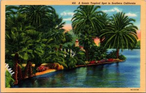 USA A Scenic Tropical In Southern California Linen Postcard 09.93