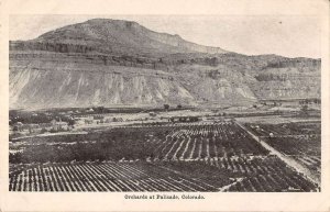 Palisade Colorado aerial view black and white orchards antique pc BB69