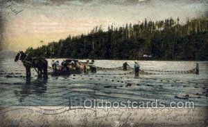 Shad Seining with Horses Fishing 1909 postal used 1909, corner wear, postal m...