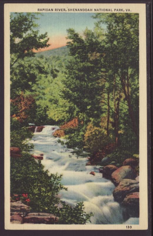 Rapidan River,Shenandoah National Park Postcard