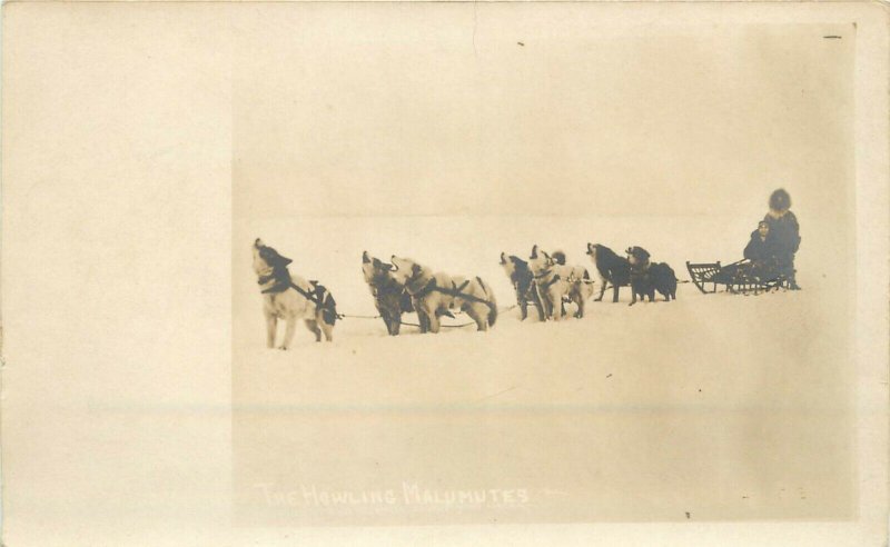 c1910 RPPC Postcard; Howling Malamutes Dog Team pulls Traditional Sled Alaska AK