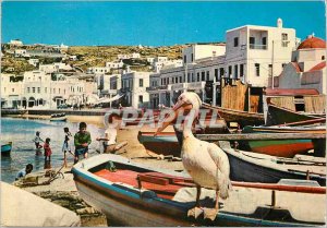 Modern Postcard Mykonos Island aPierrou the pelican of the Island